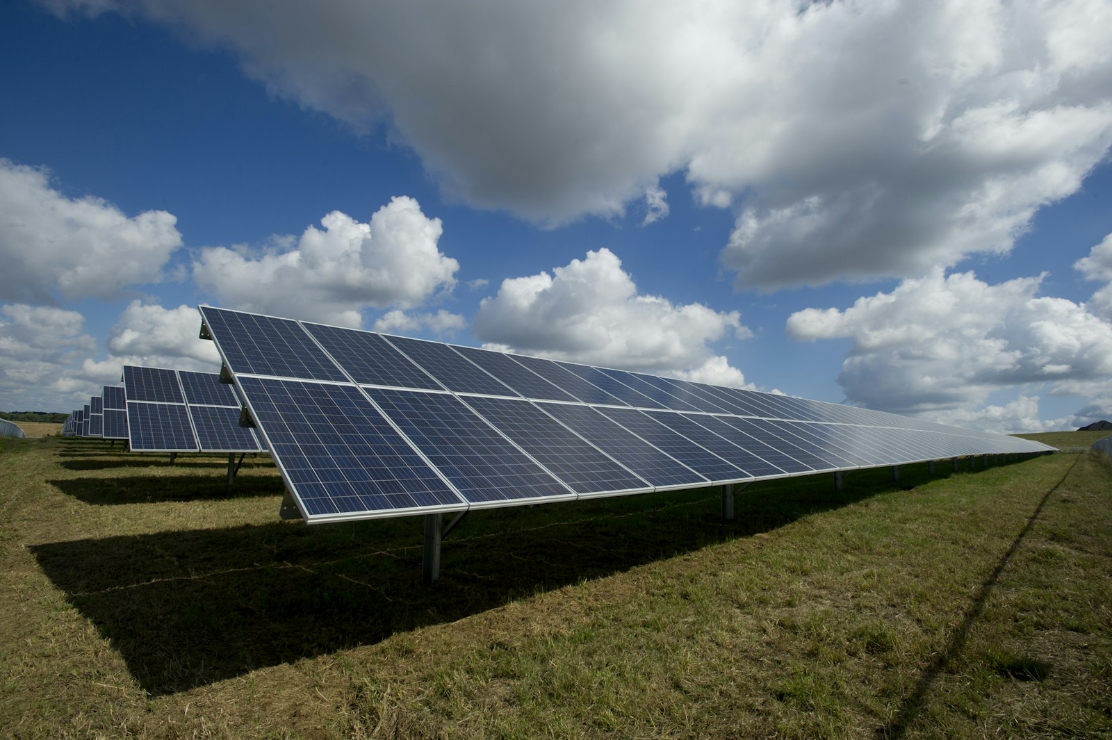 Wide field of solar panels under a clear morning sky in the Netherlands