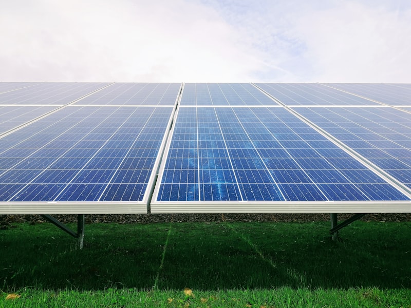 Rows of dark solar panels on a green field at sunset