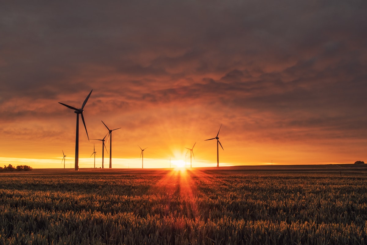 White wind turbines on a ridge under a blue sky